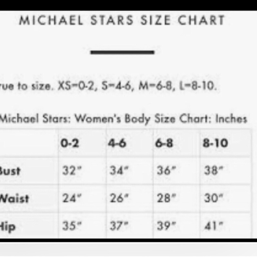 Michael Stars NWOT Gauze Pruitt Ballon Sleeve Top SZ M - Picture 2 of 5